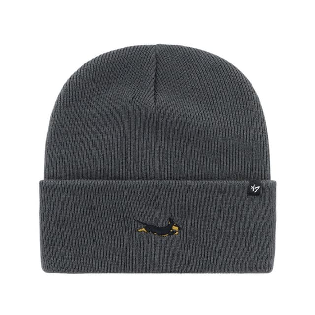 Шапка 47 Brand DOG BASE RUNNER сіра BRNCK14ACE-CC