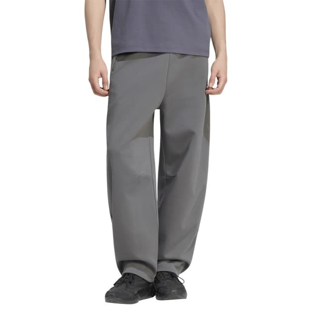 Брюки мужские Adidas M Z.N.E. OH PT серые KX7695