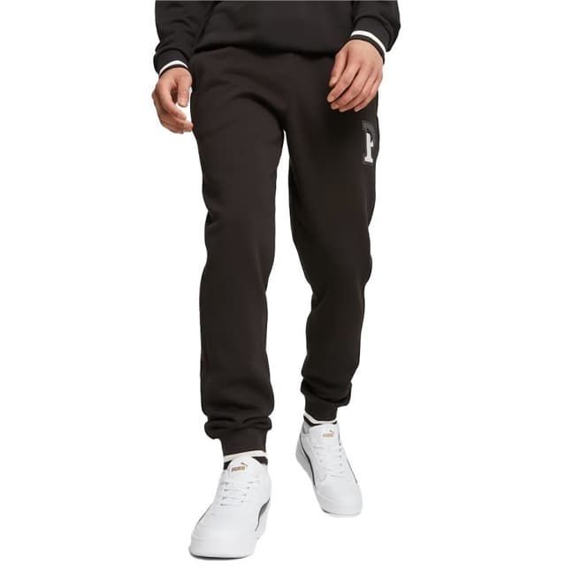 Брюки мужские Puma SQUAD Sweatpants FL cl черные 67601901