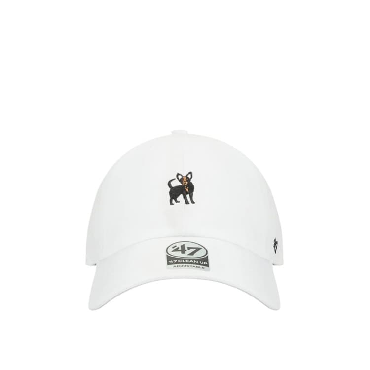 Кепка унисекс 47 Brand DOG BASE RUNNER ICON белая BSRIC1411GWS-WHE