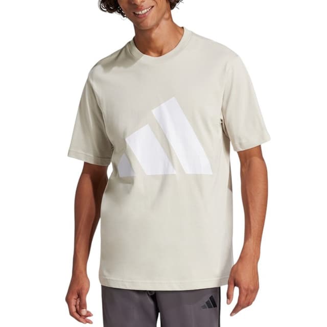 Футболка мужская Adidas M BL SJ T бежевая JE8933