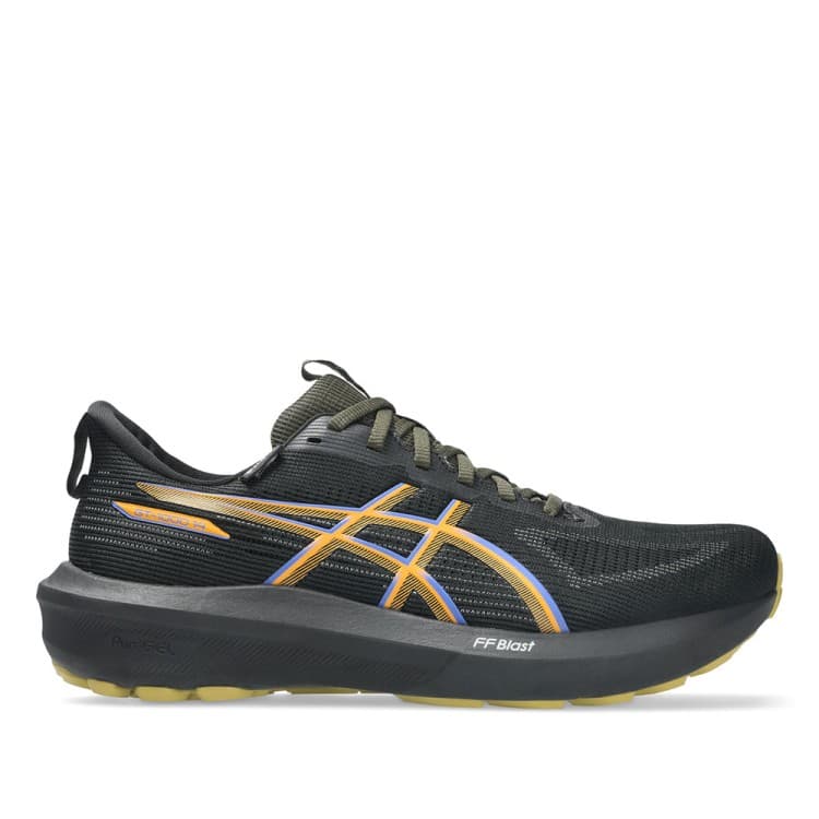 Кросівки чоловічі Asics GT-1000 14 GTX чорні 1011C078-001