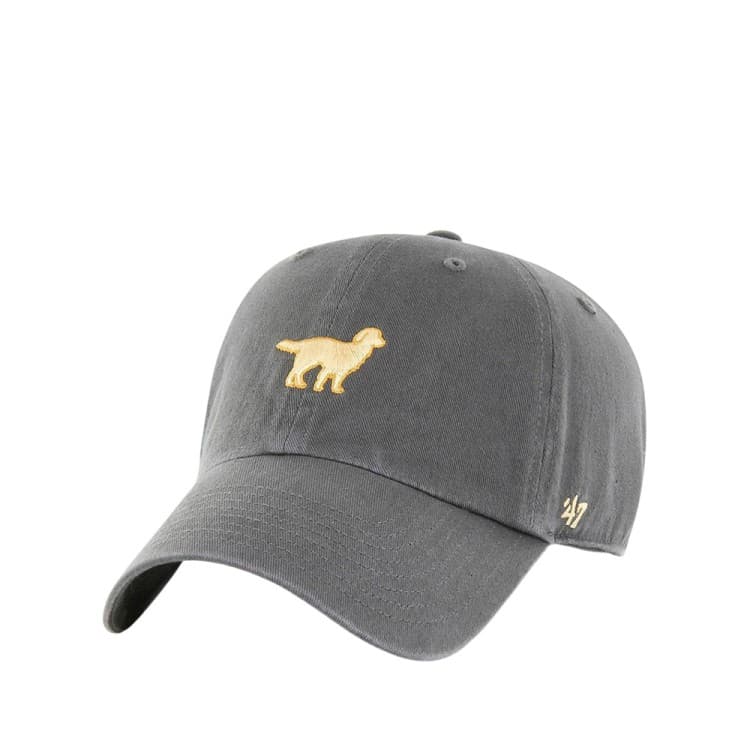 Бейсболка унісекс 47 Brand DOG BASE RUNNER ICON сіра BSRIC284GWS-CCD