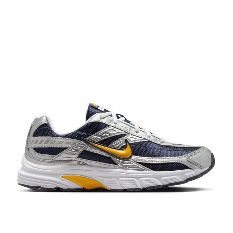 Кросівки чоловічі Nike INITIATOR TRK3 FWCO сірі IB4467-451