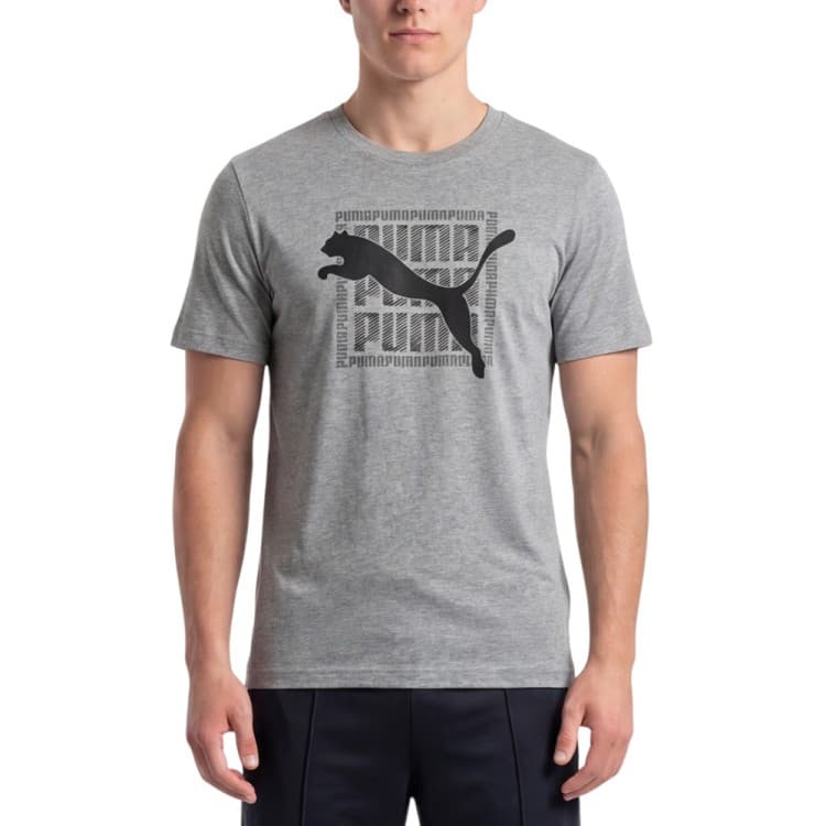 Футболка мужская Puma GRAPHIC Wording Tee серая 69177503