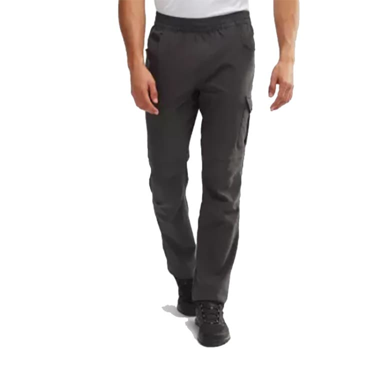 Брюки мужские Columbia Horizon Lite™ Pull On Pant серые 1781081-011