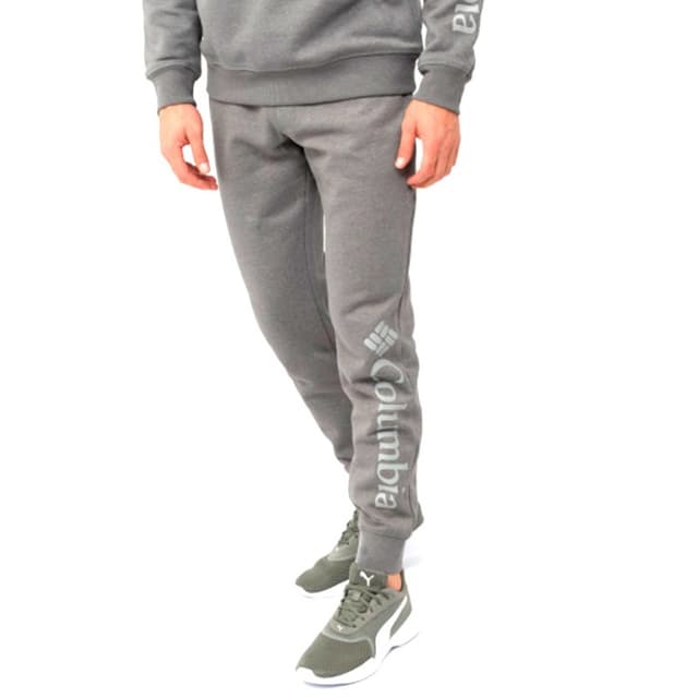 Брюки мужские Columbia CSC Logo™ Fleece Jogger II серые 1911601-023