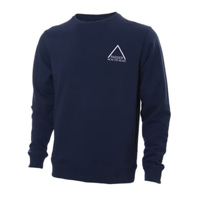 Толстовка мужская Radder Crest синяя 220045-450