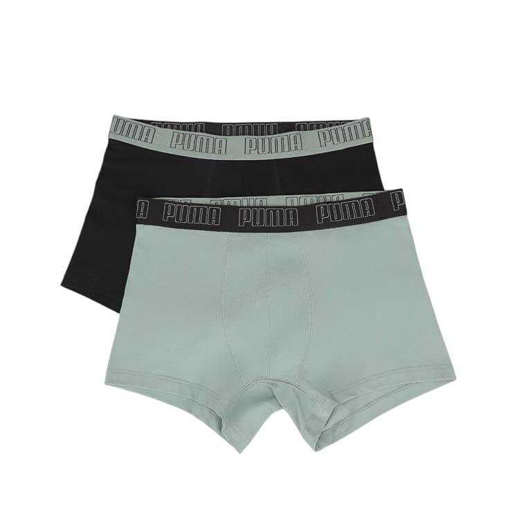 Нижнее белье мужское Puma PUMA MEN EVERYDAY TRUNK 2P оливковое 93832119