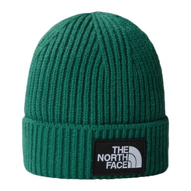 Шапка The North Face Logo Box Cuffed зеленая NF0A3FJXNL11