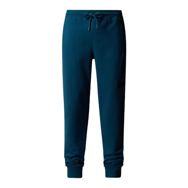 Брюки мужские The North Face M NSE PANT синие NF0A4SVQ1NO1