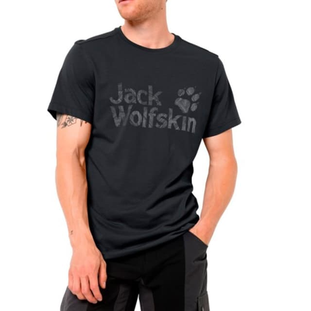 Футболка мужская Jack Wolfskin Brand Logo T M темно-серая 1807261-6350