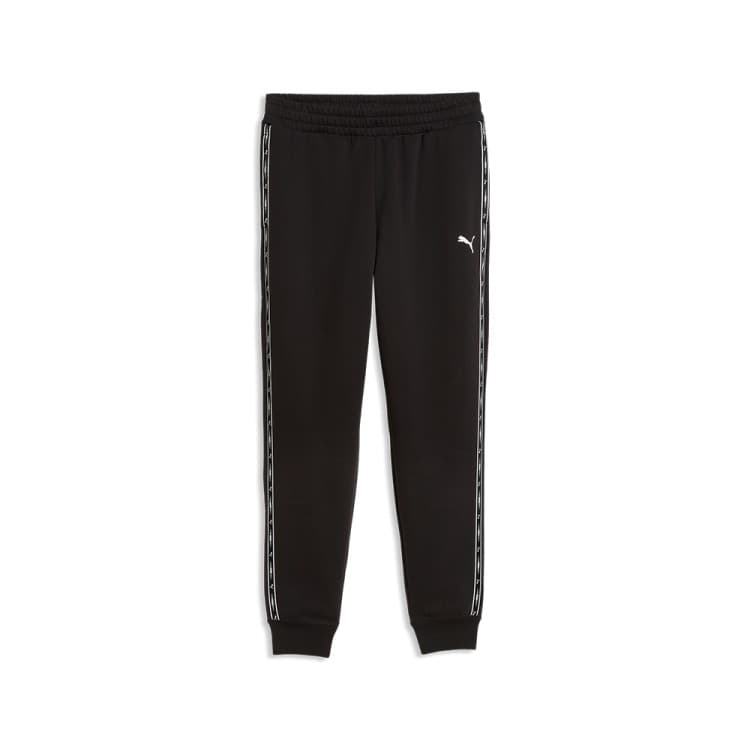 Брюки мужские Puma ESS TAPE Sweatpants FL cl черные 69434001