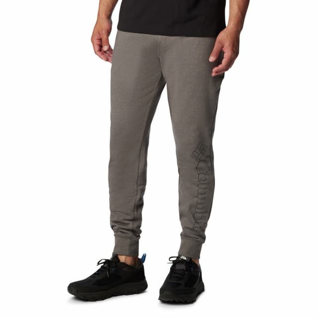Брюки мужские Columbia M CSC Logo™ Fleece Jogger II серые 1911601-026