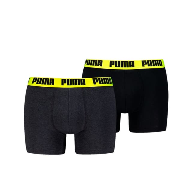 Боксери чоловічі Puma MEN EVERYDAY BASIC BOXERS 2P темно-сірі 93832009