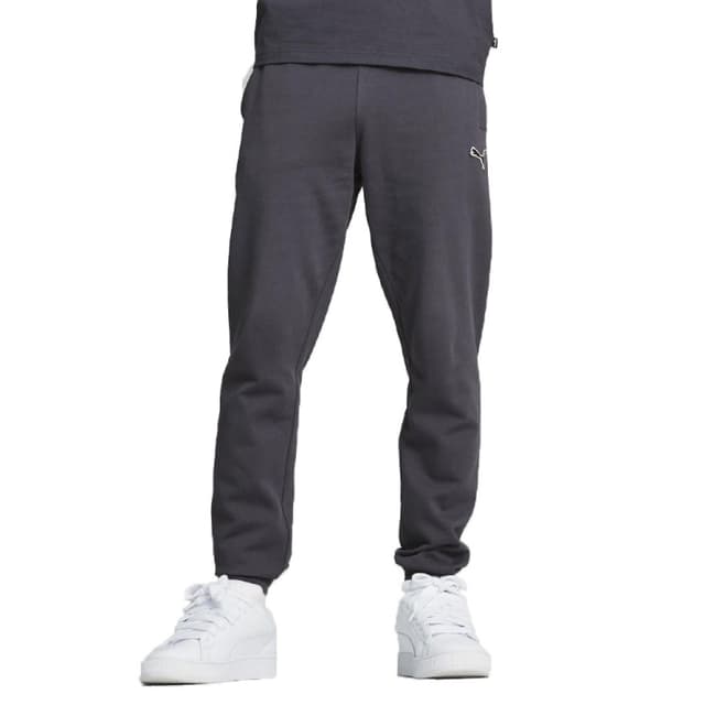 Штани чоловічі Puma BETTER ESSENTIALS Sweatpants FL cl сірі 67681669