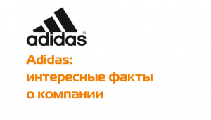 Adidas: интересные факты о компании