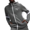 Толстовка мужская Puma EVOSTRIPE Full-Zip Hoodie DK графитовая 67899580