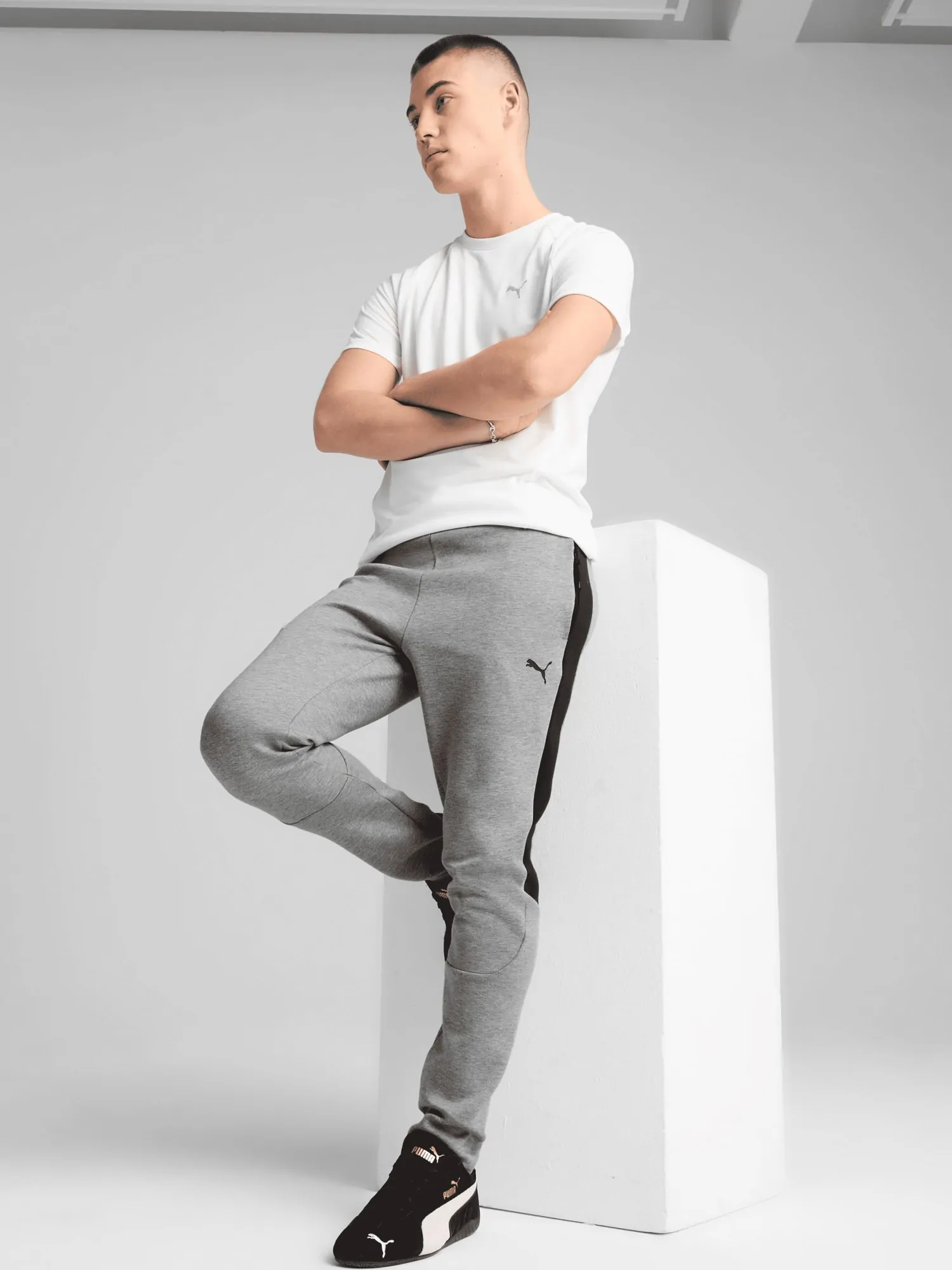 Брюки мужские Puma EVOSTRIPE CORE Pants серые 63153303 купить в
