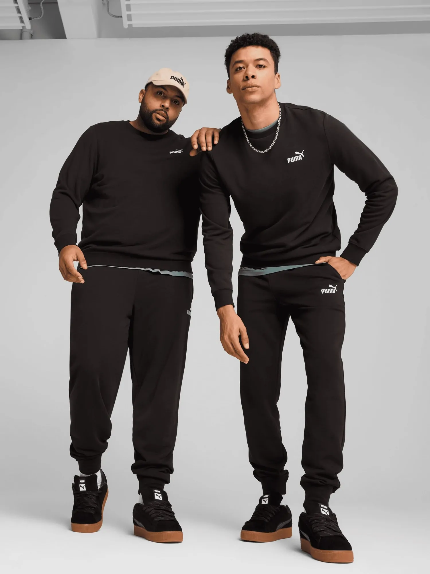 Брюки мужские Puma ESS No. 1 Logo Sweatpants черные 68260801