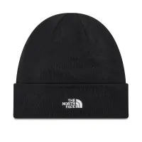Шапка The North NORM BEANIE черная NF0A5FW1JK31 купить в Киеве в
