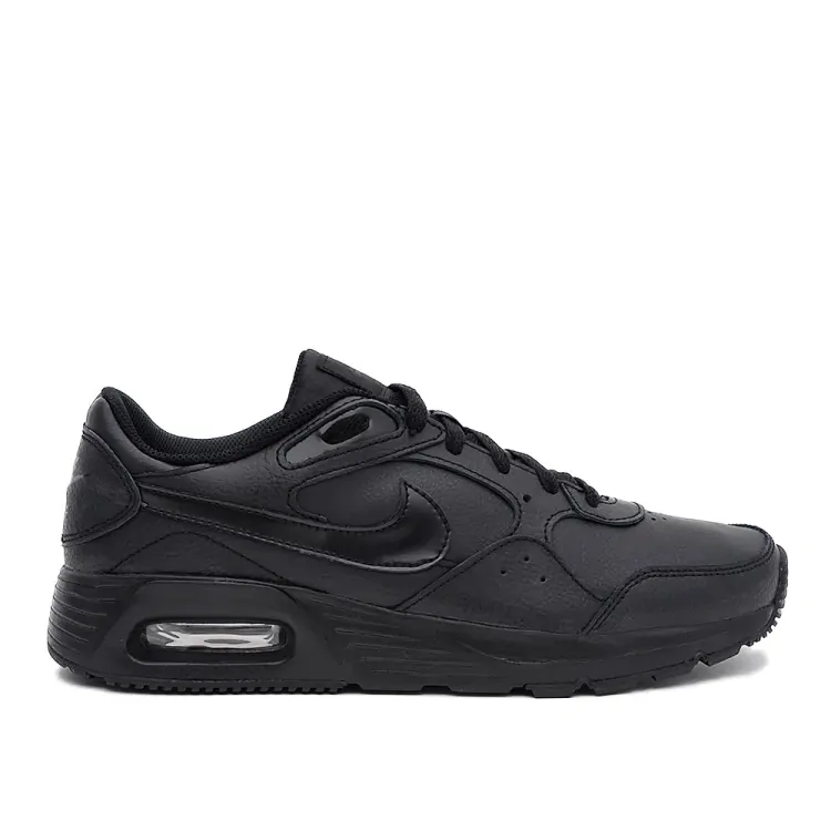 Кросівки чоловічі Nike NIKE AIR MAX SC LEA чорні DH9636-001 купити