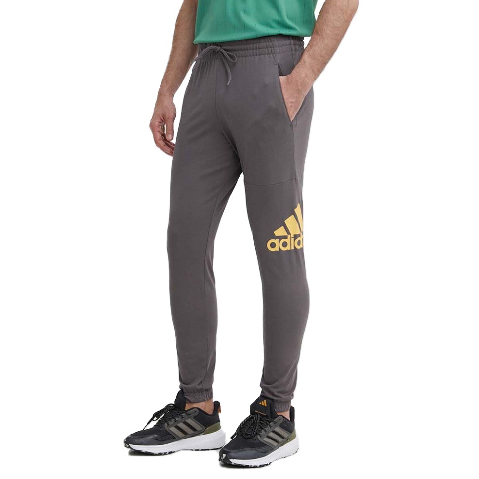 Штани чоловічі Adidas ESS LGO T P SJ коричневі IR9989 — фото 1