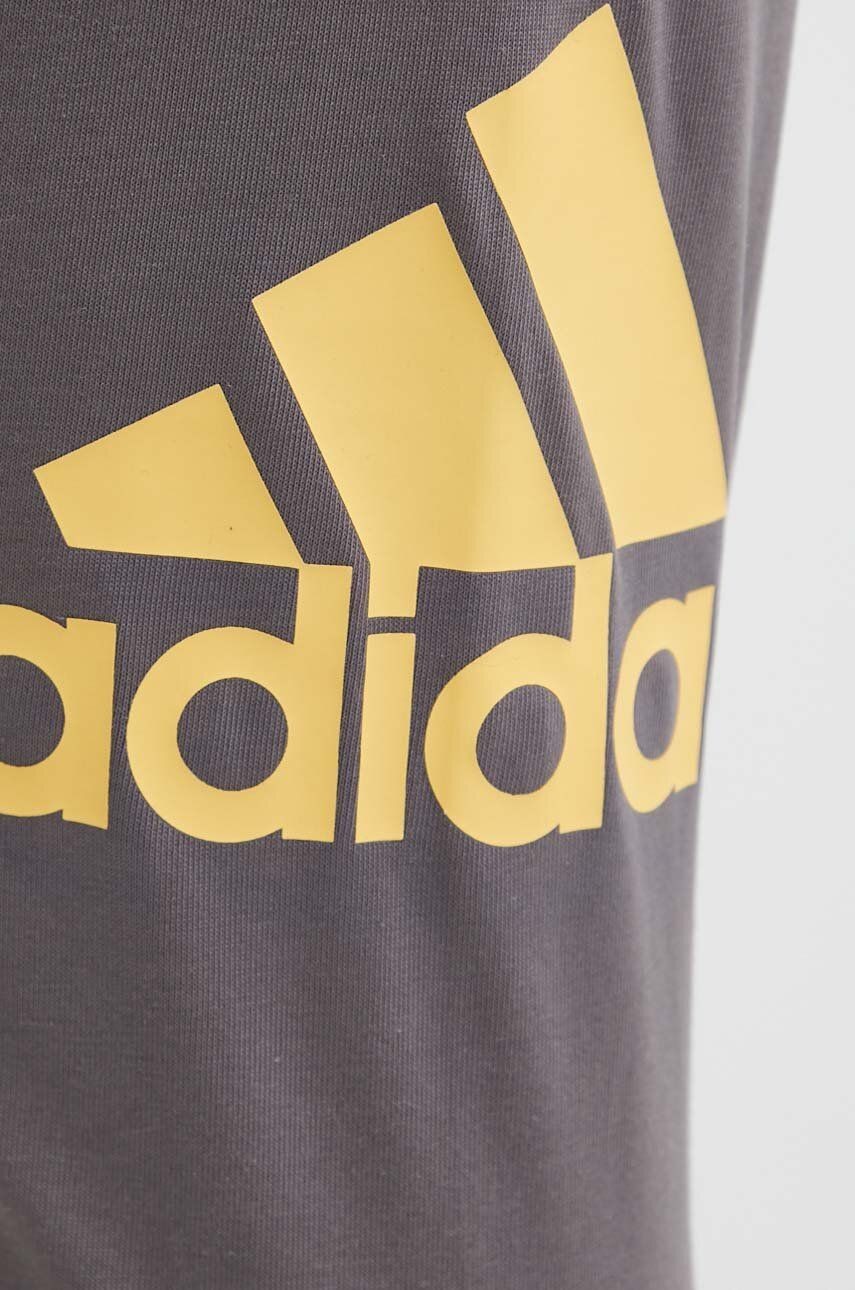 Штани чоловічі Adidas ESS LGO T P SJ коричневі IR9989 — фото 5
