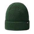 Шапка  The North Face FISHERMAN BEANIE зеленая NF0A55JGI0P1