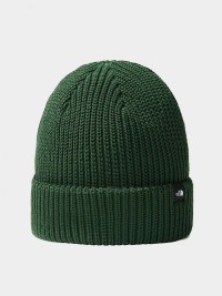 Шапка  The North Face FISHERMAN BEANIE зеленая NF0A55JGI0P1 изображение 2