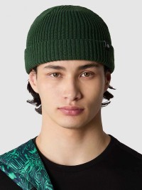 Шапка  The North Face FISHERMAN BEANIE зеленая NF0A55JGI0P1 изображение 5
