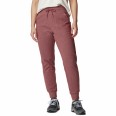 Брюки женские Columbia Calico Basin™ Fleece Jogger бордовые 2052281-679