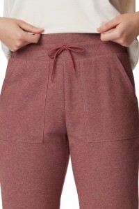 Брюки женские Columbia Calico Basin™ Fleece Jogger бордовые 2052281-679 изображение 3
