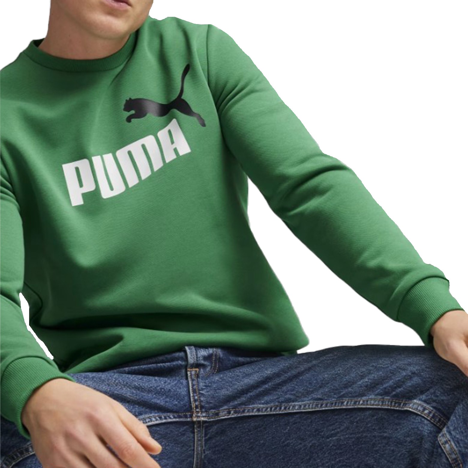 Толстовка мужская Puma ESS+ 2 Col Big Logo Crew зеленая 58676386 изображение 1