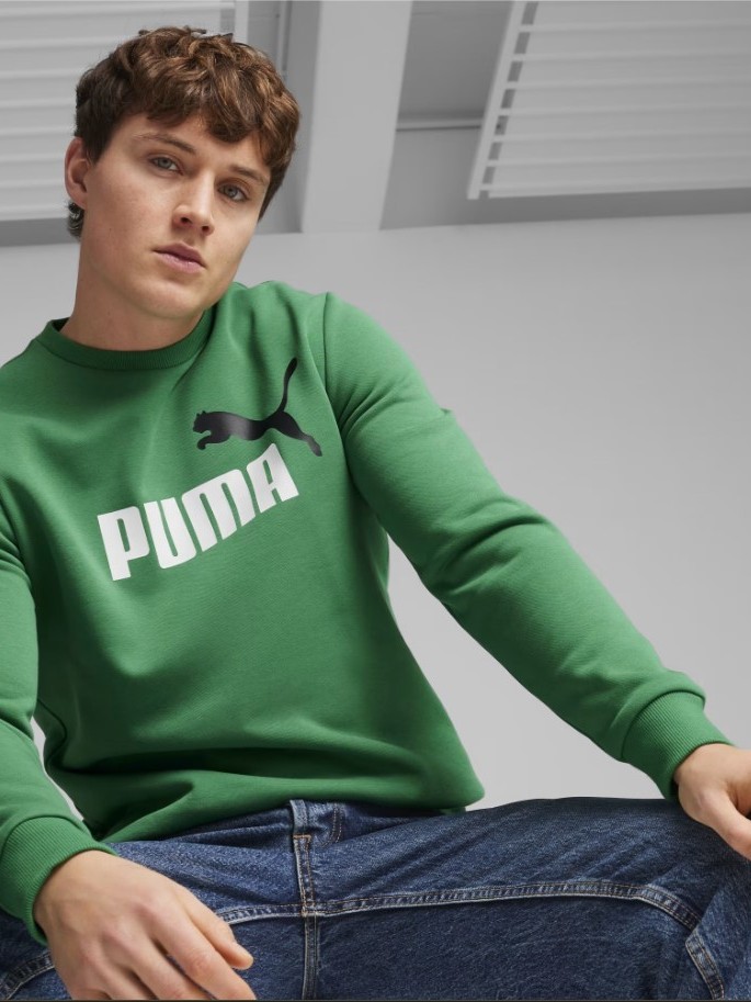 Толстовка чоловіча Puma ESS+ 2 Col Big Logo Crew зелена 58676386 изображение 2