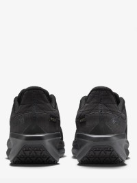 Кроссовки мужские Nike AIR WINFLO 11 GTX черные FQ1358-001 изображение 5