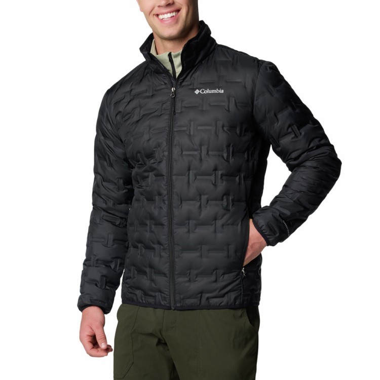 Куртка мужская Columbia Delta Ridge™ II Down Jacket черная 2086241-010 изображение 1