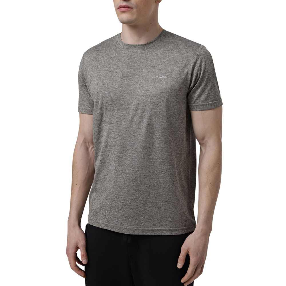 Футболка мужская Larum Vireon коричневая 102605-200