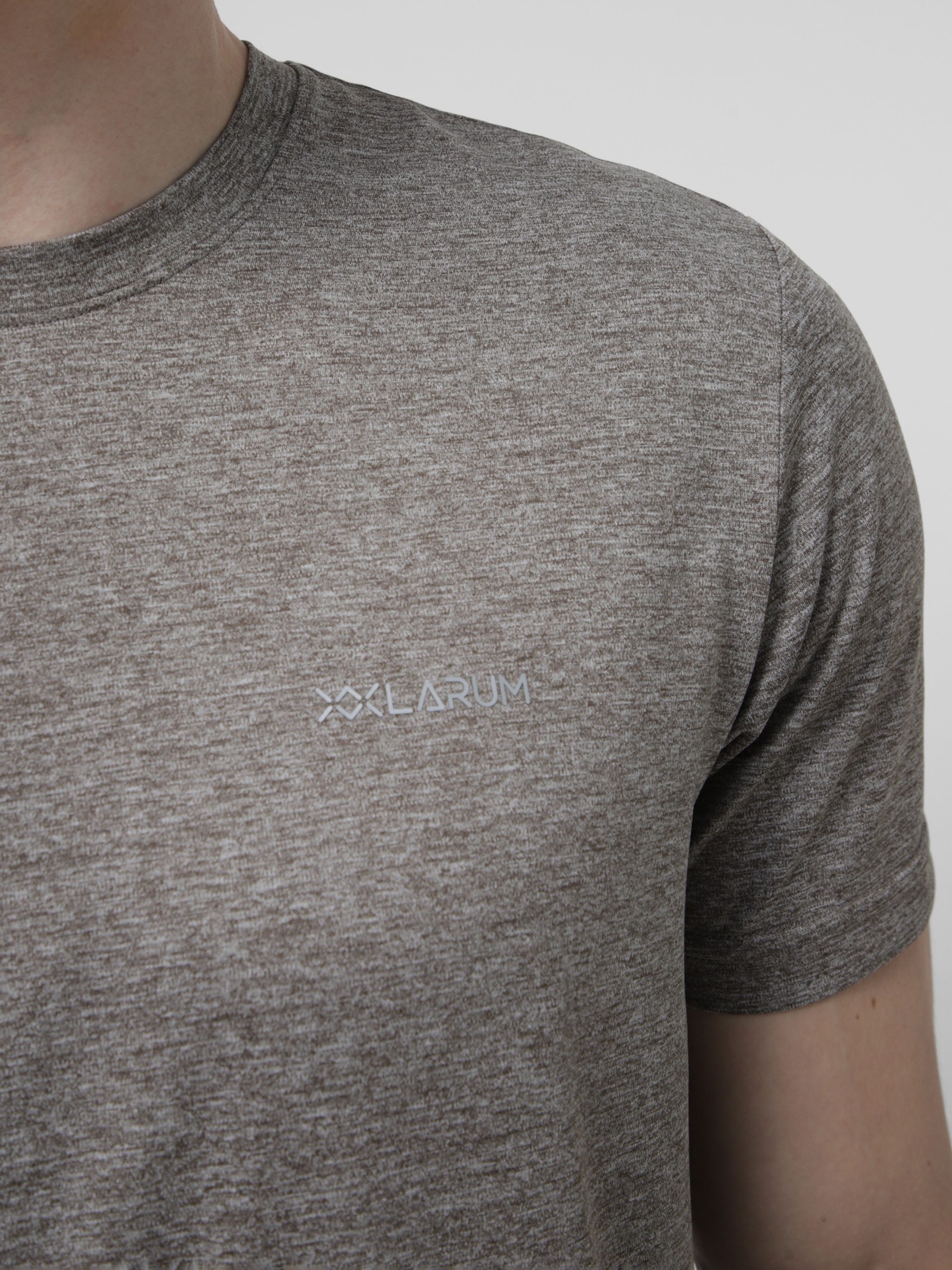 Футболка чоловіча Larum Vireon коричнева 102605-200 изображение 4