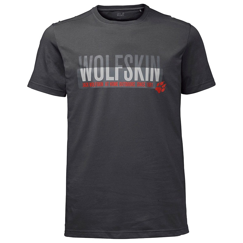 Футболка мужская Jack Wolfskin серая 1805641-6352