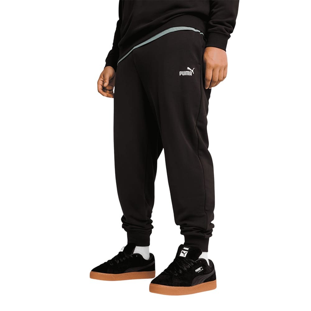 Брюки мужские Puma ESS No. 1 Logo Sweatpants черные 68260801