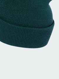 Шапка  Adidas NEW LOG BEA CUF зелена JX5747 изображение 5