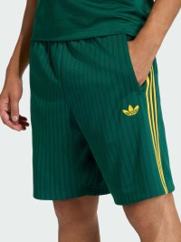 Шорты мужские Adidas FIREBIRD SHO зеленые KS5504 изображение 4