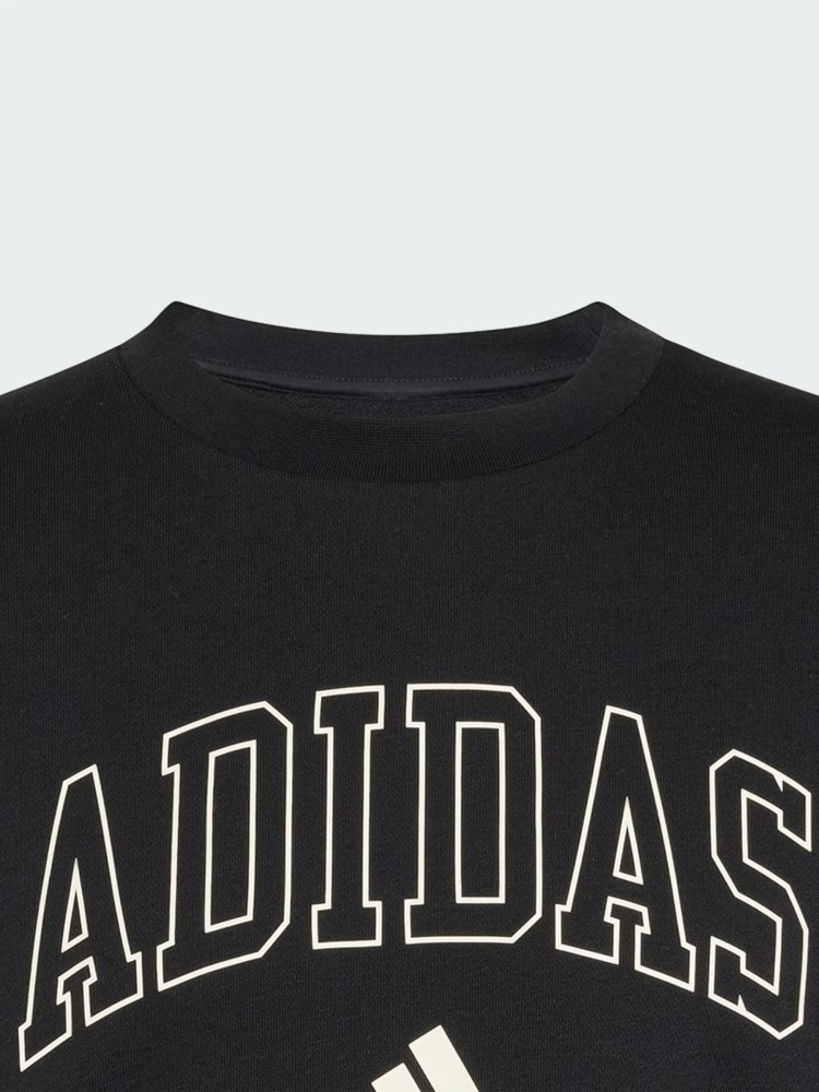 Толстовка мужская Adidas M COLL FT CRW черная KF4252 изображение 5