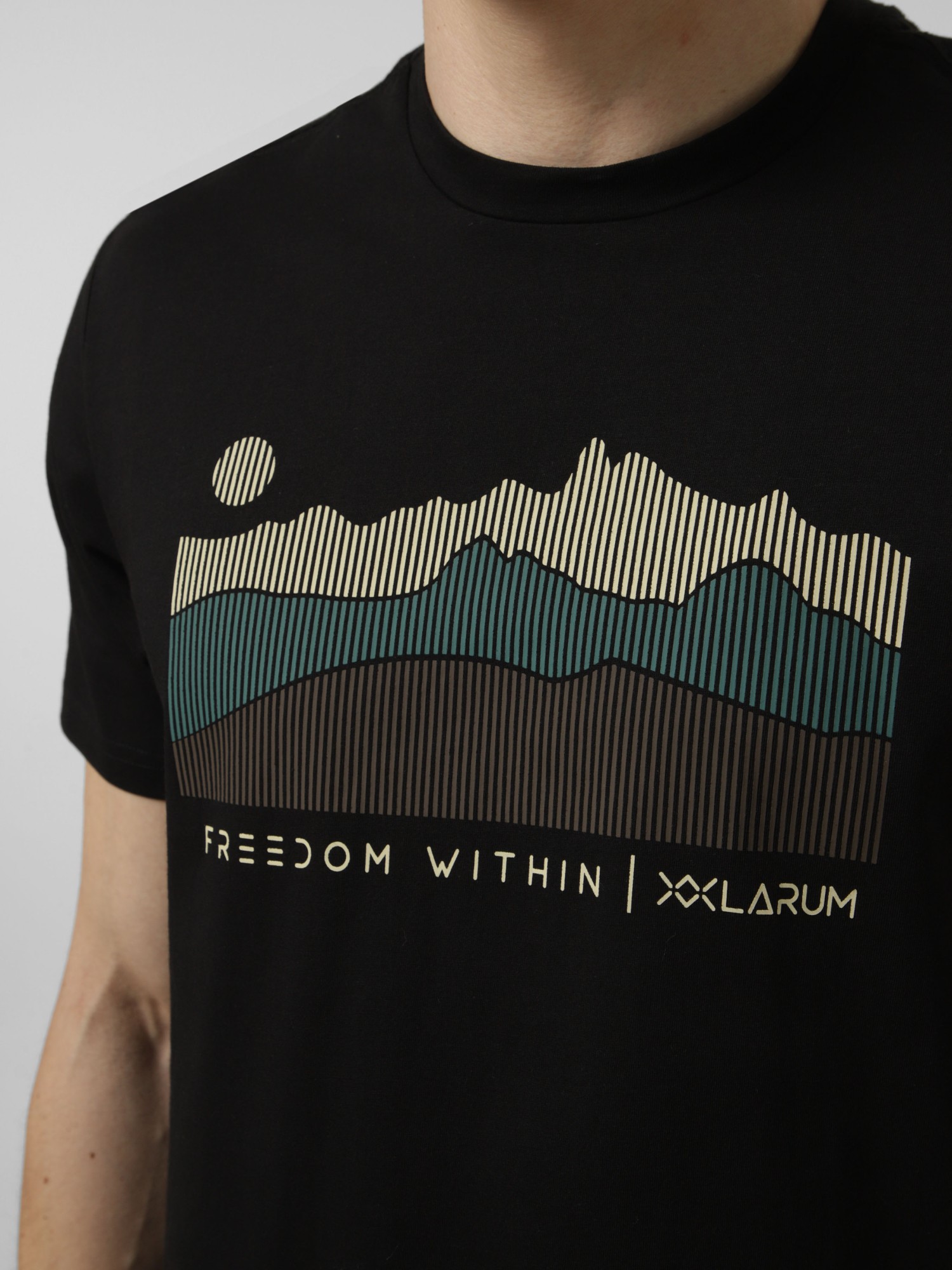 Футболка чоловіча Larum Elarin чорна 102607-010 изображение 4