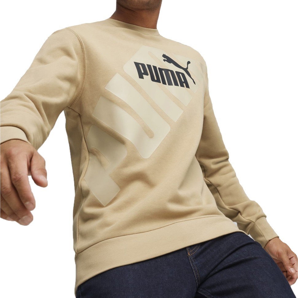 Толстовка мужская Puma PUMA POWER Graphic Crew бежевая 67896183 изображение 1