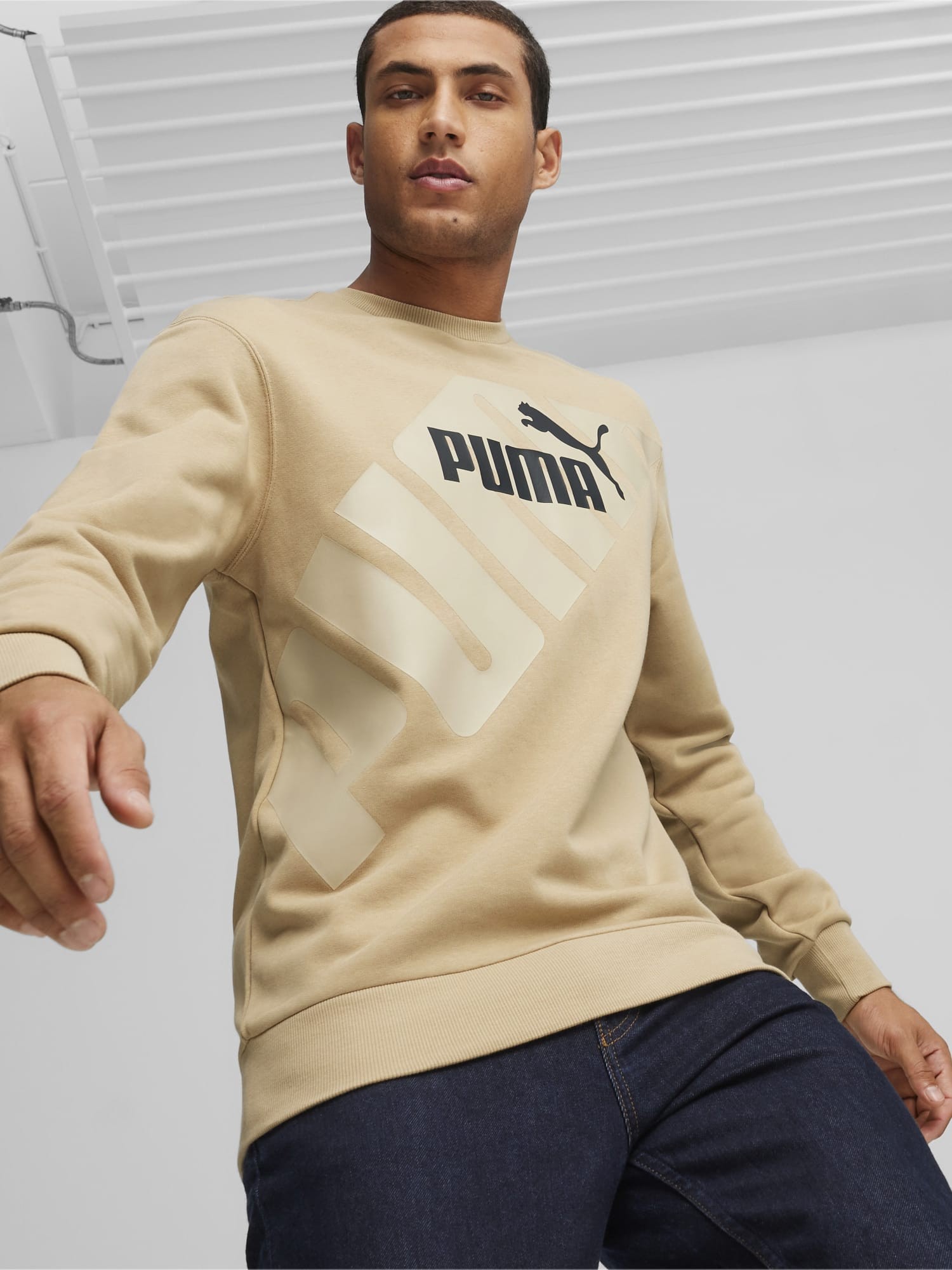 Толстовка мужская Puma PUMA POWER Graphic Crew бежевая 67896183 изображение 2