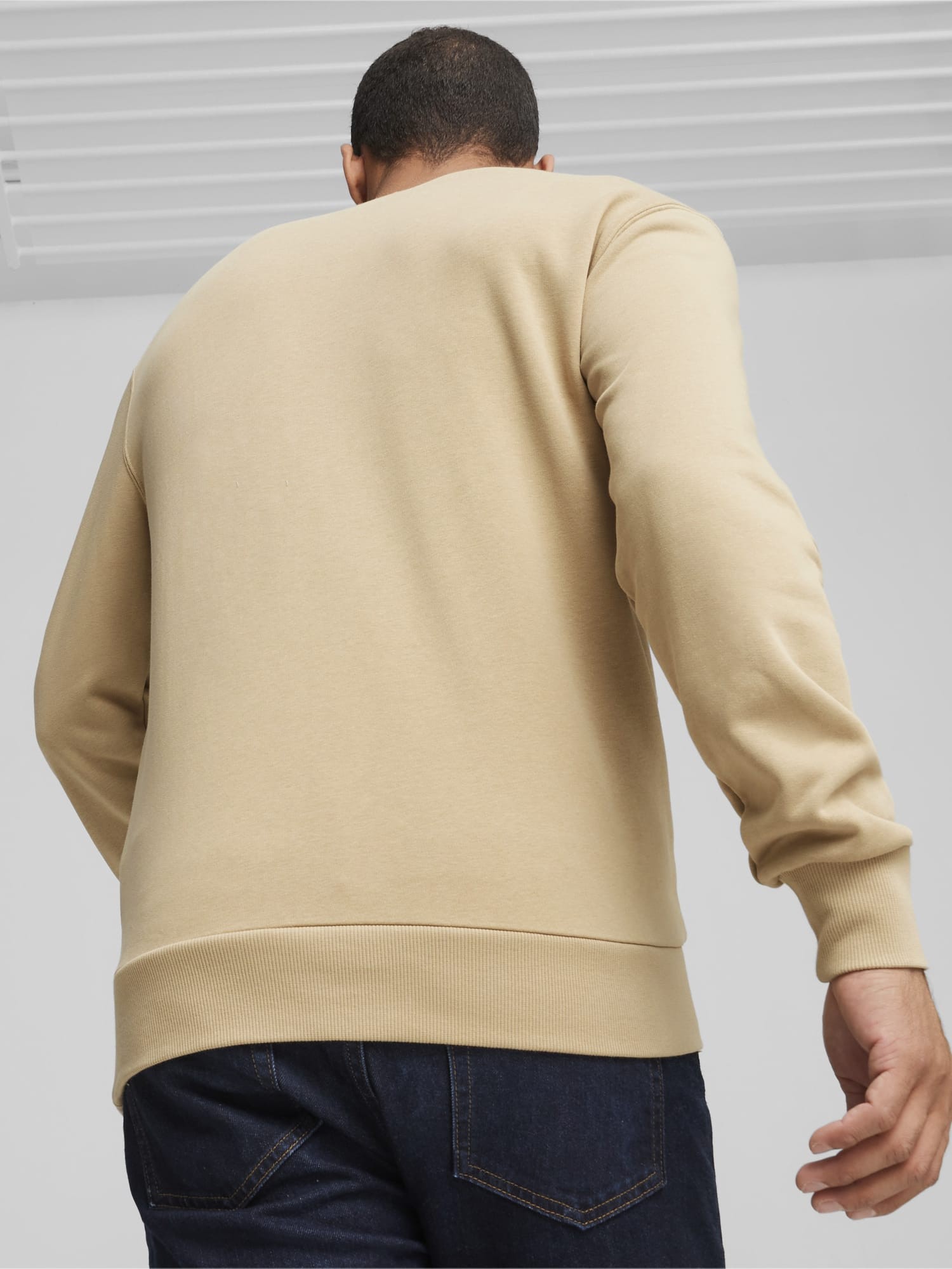 Толстовка мужская Puma PUMA POWER Graphic Crew бежевая 67896183 изображение 3