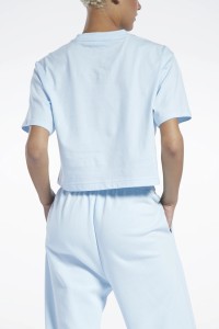Футболка мужская Reebok Cl Pf Big Logo Crop голубая HB8652 изображение 3