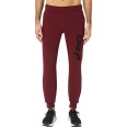 Брюки мужские Asics ASICS BIG LOGO SWEAT PANT бордовые 2031A977-601